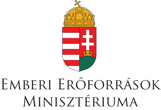 Egyedi támogatás